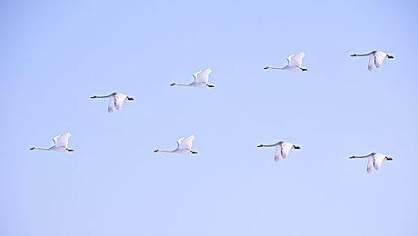 《天国：拯救2》第二款DLC将在科隆展上全面公开